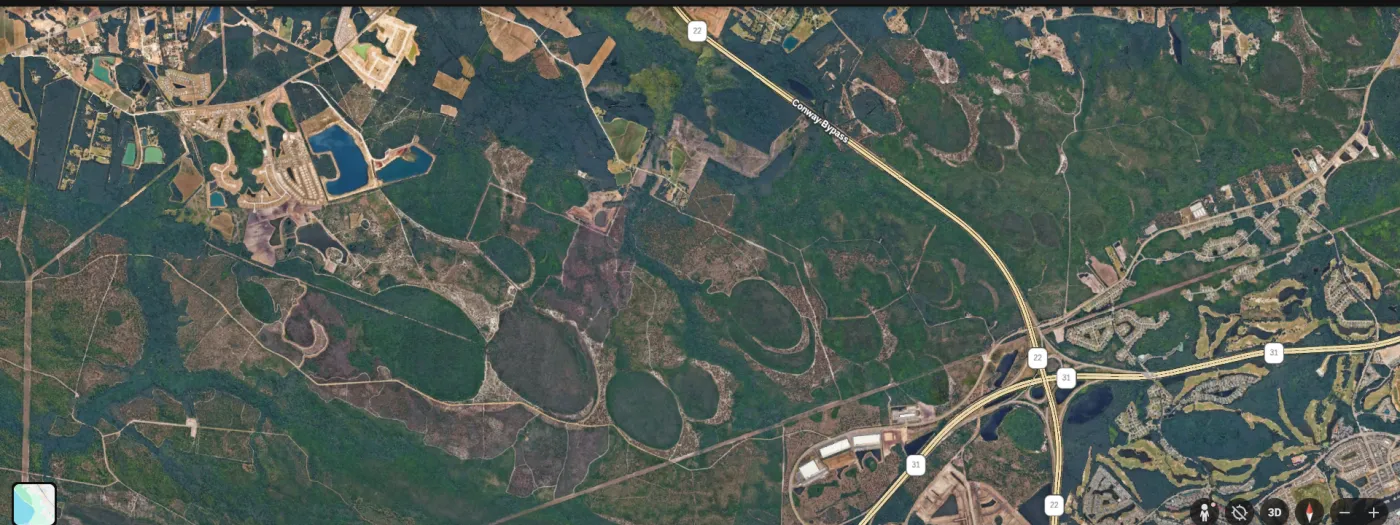 A Google Earth screenshot of the North Carolina coastal plain — dozens of oval-shaped depressions visible in the satellite view, many now containing ponds or farmland, all tilted the same direction