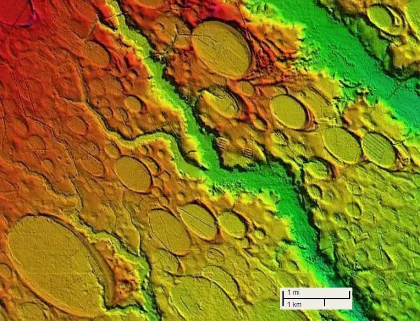 LiDAR elevation map of the Carolina Bays showing hundreds of overlapping elliptical depressions packed so densely the landscape looks like it was carpet-bombed — the rainbow colours indicate elevation, revealing the depression rims and shapes that are invisible from the ground
